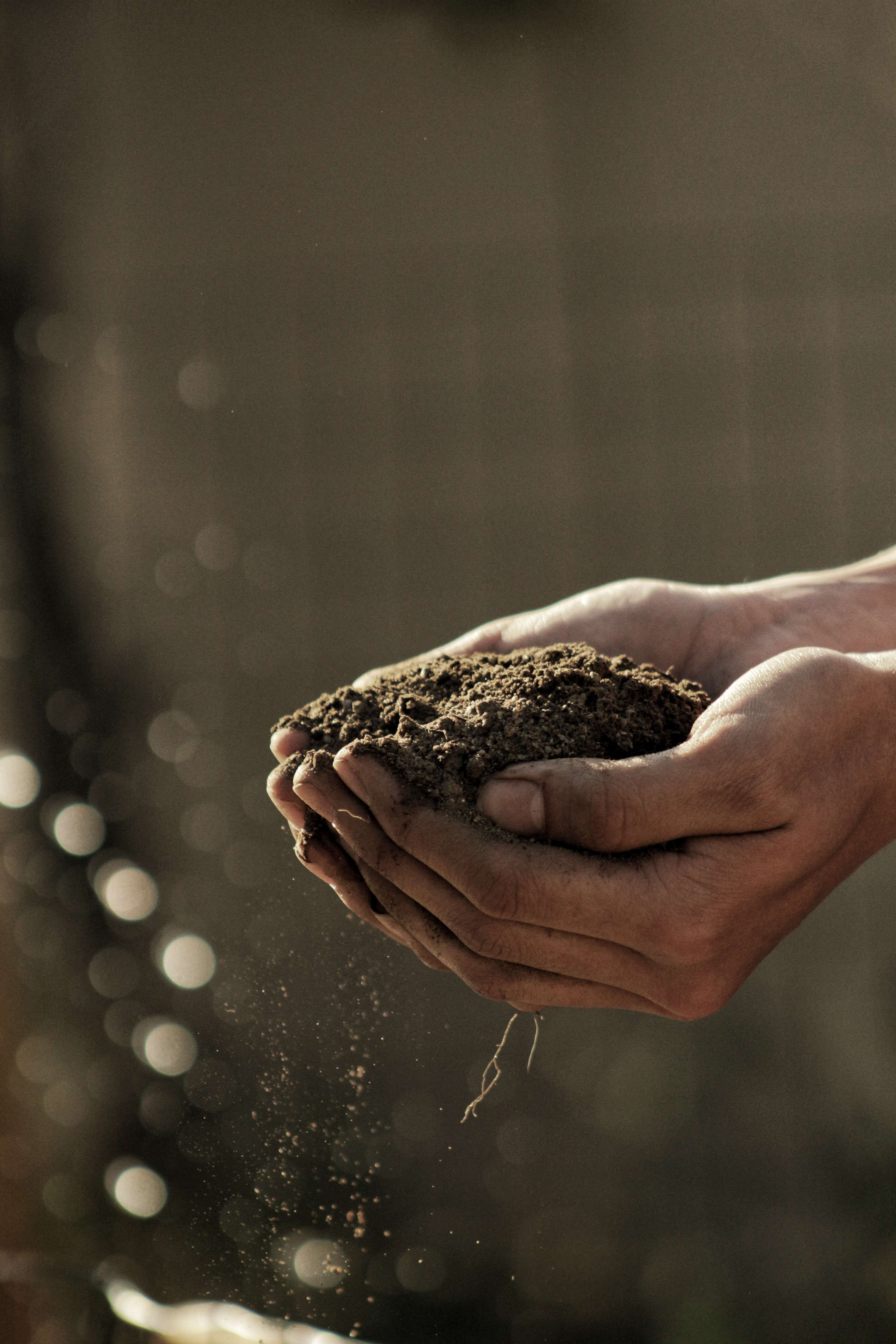 a man holding a soil in his hands
