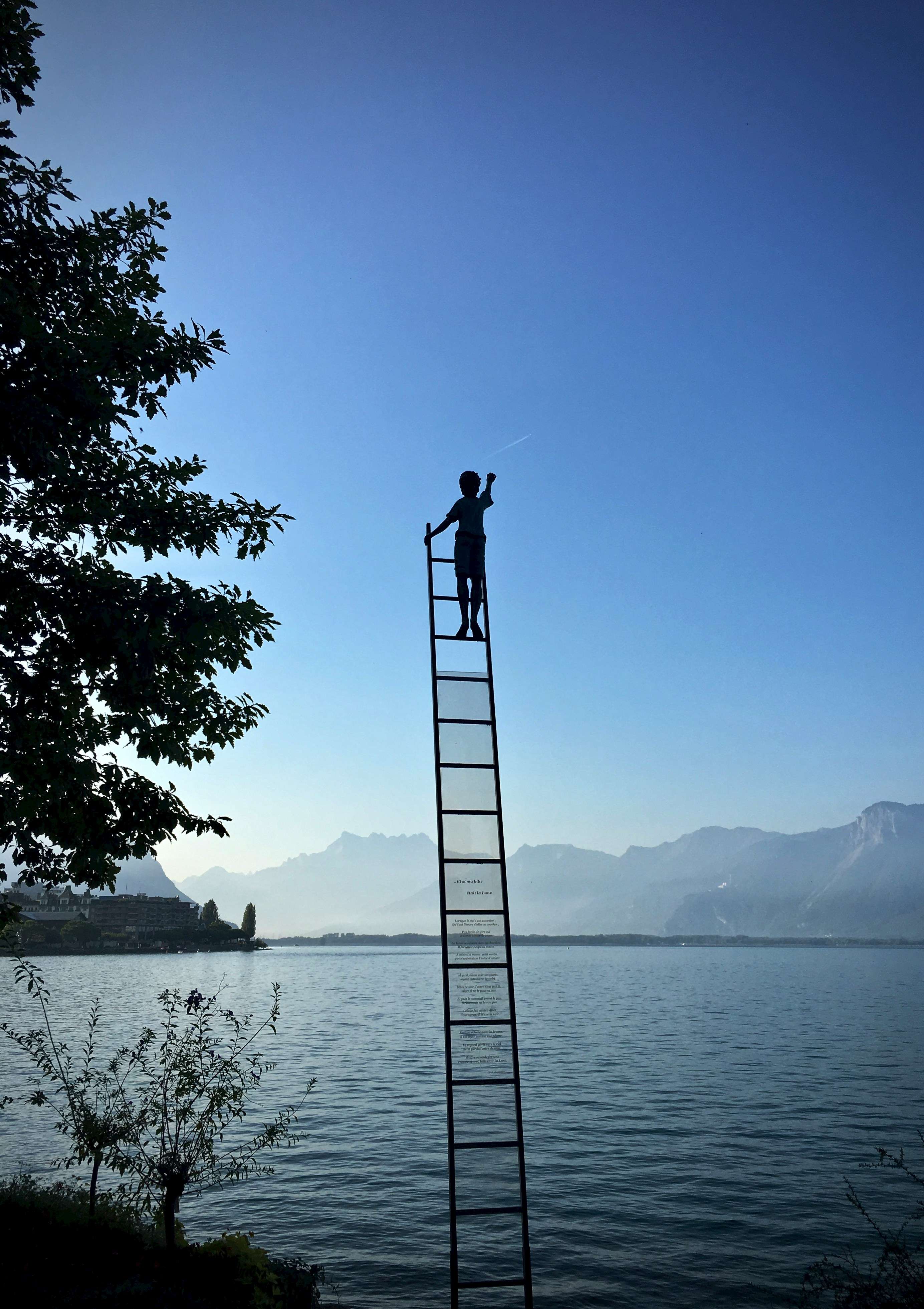 a boy climbing ladder, six figure income inspiration. MVP