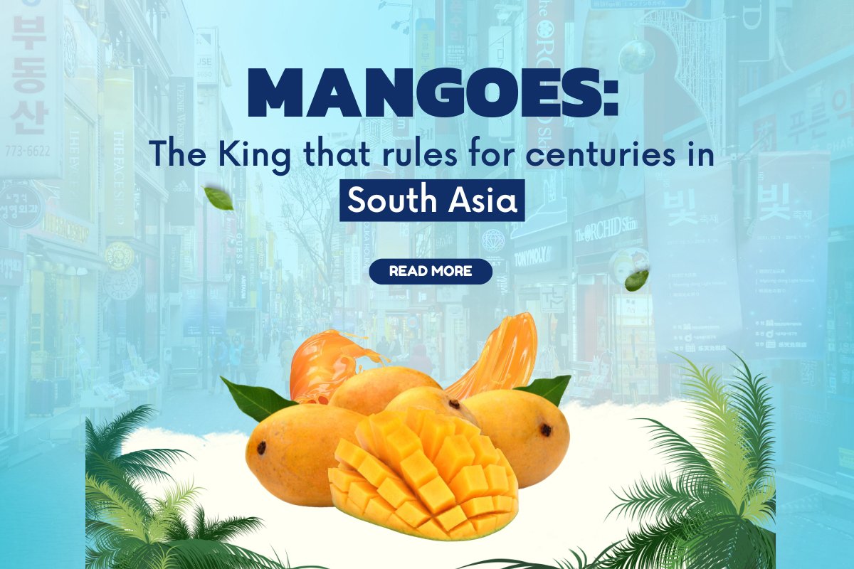 Mangoes: The King that rules for centuries in South Asia