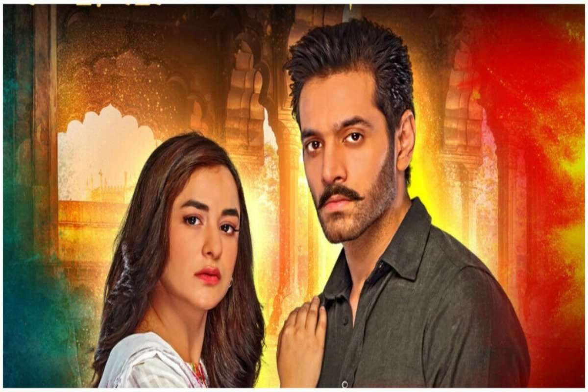 Is Tere Bin a realistic portrayal of love and society in Pakistan?
