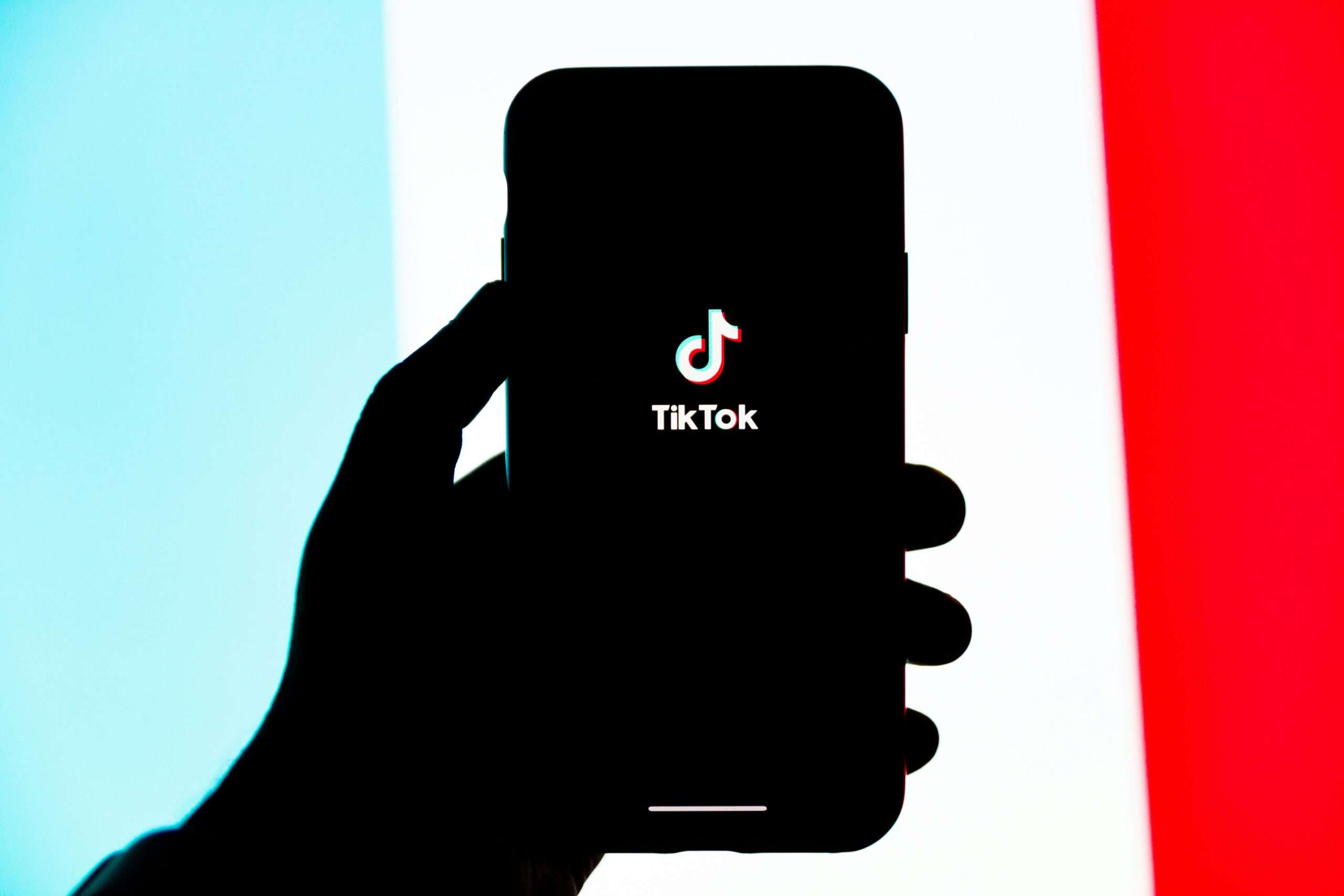 TikTok E-Commerce Guide 2025: How to Turn Views Into Sales