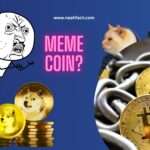 What Is a Meme Coin? Joke or Jackpot?