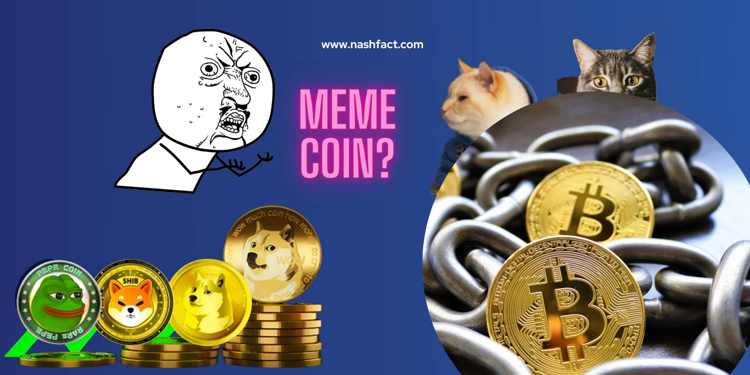 What Is a Meme Coin? Joke or Jackpot?