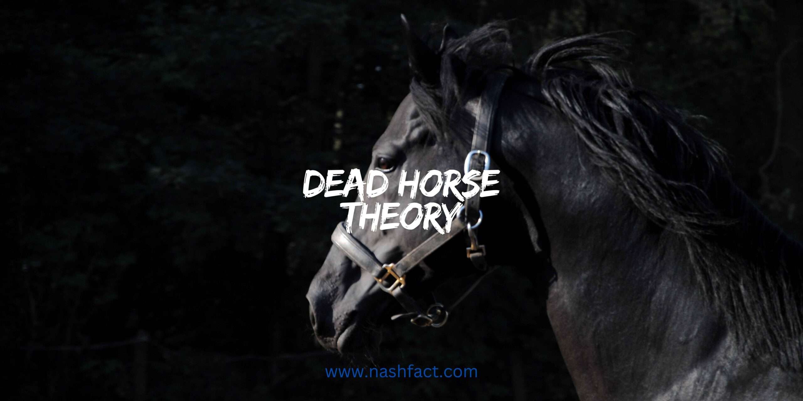 The Dead Horse Theory: When to Quit and Move On